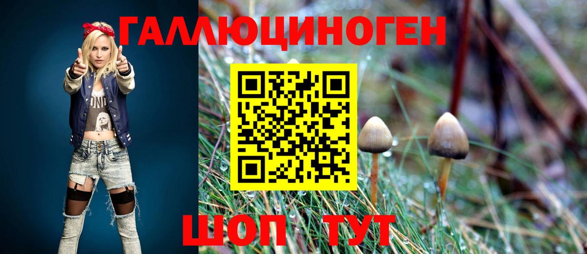 Галлюциногенные грибы мухоморы Ногинск